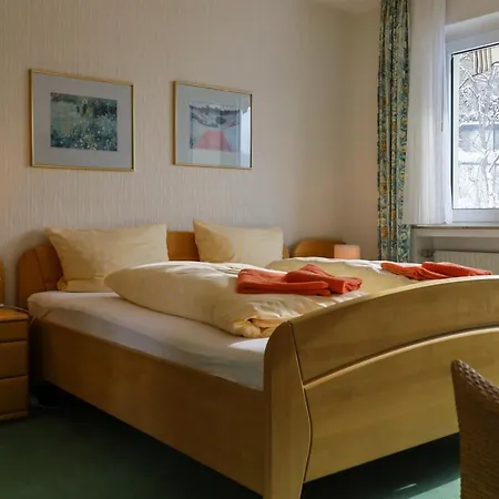 Pension Olsberg Guest house *
