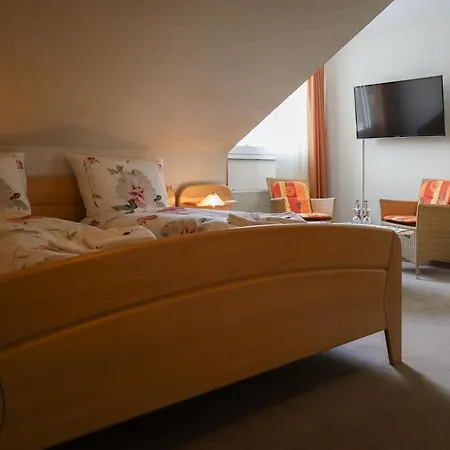 Gæstehus Pension Olsberg *