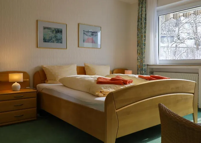 Pension Olsberg Vendégház *